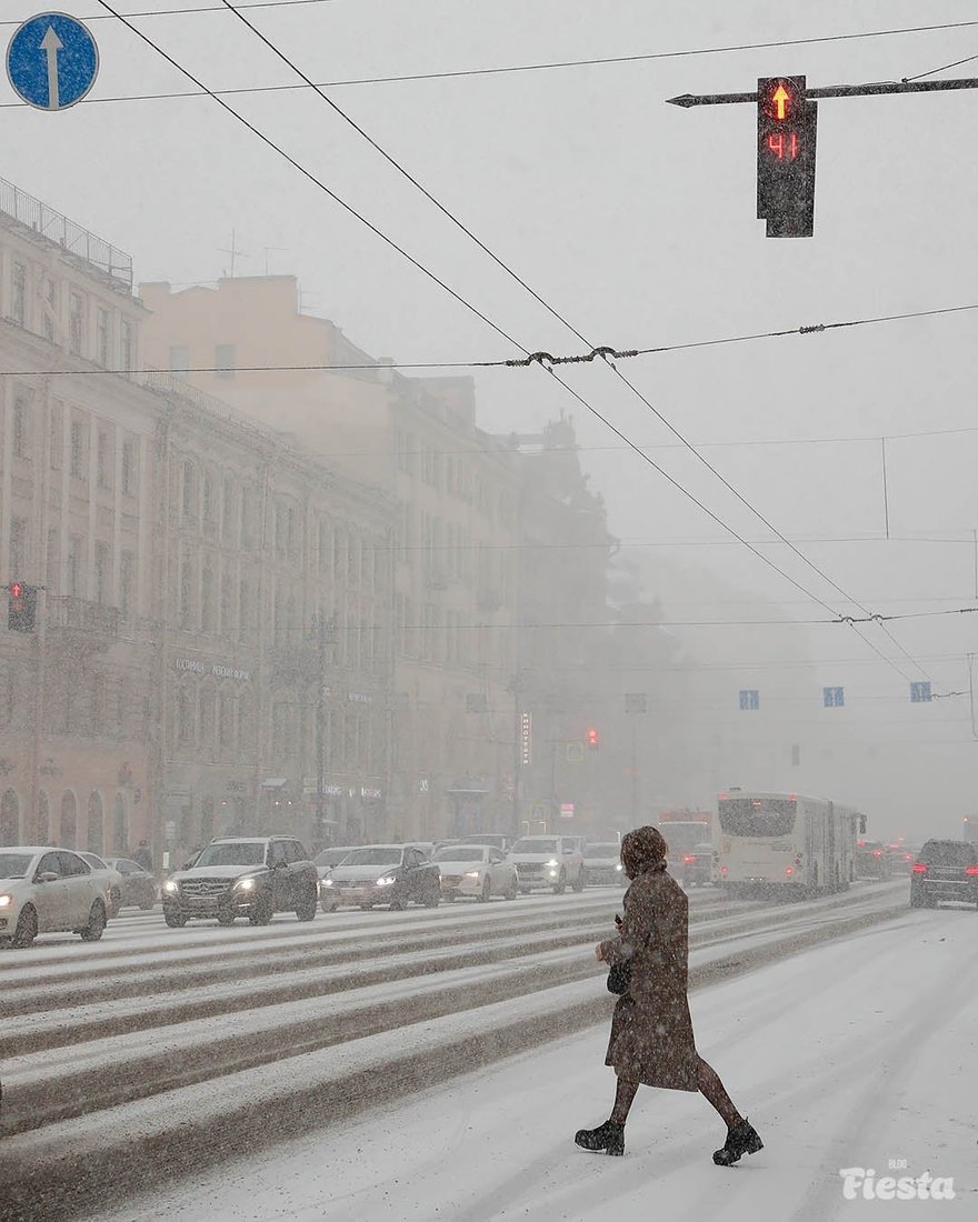 Холодная погода в Петербурге задержится