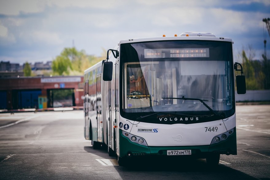 Автобусы птп 1. Пассажиравтотранс СПБ. Что такое шаттлы для перевозки людей. Автобус Приморская Чайка. Фото Пассажиравтотранс.