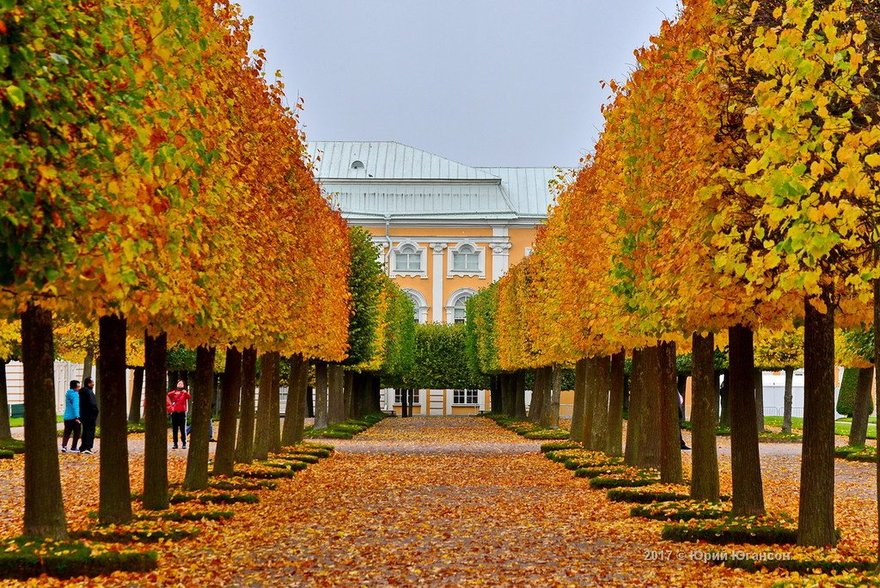 Гатчина Парк Фото Осенью