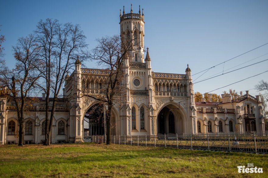 Станция новый петергоф фото