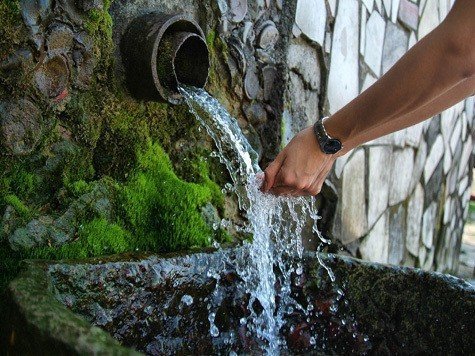 Почему вода из родника или колодца может быть опасна | Евгений НЦВТ | Дзен