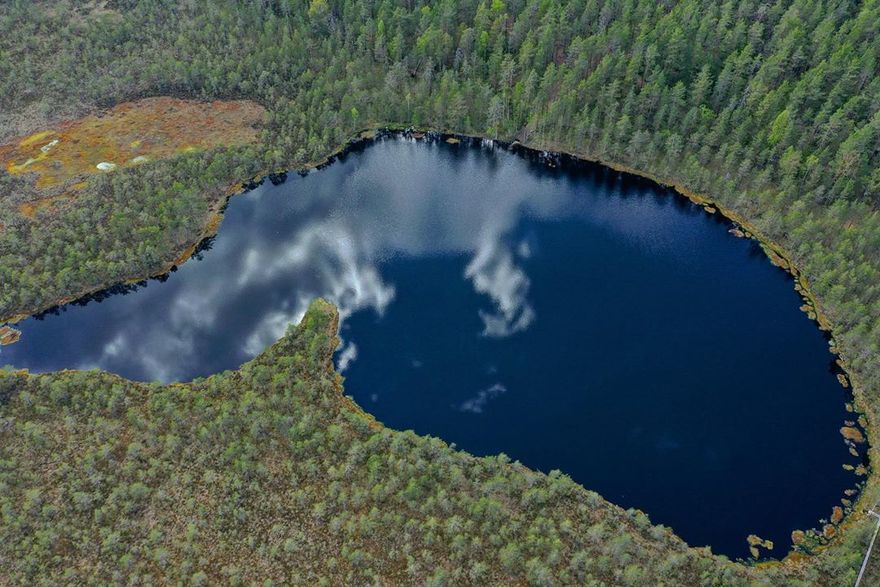 Болото ламмин суо фото