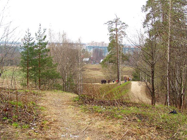 Гора гапсельга ленинградской области фото