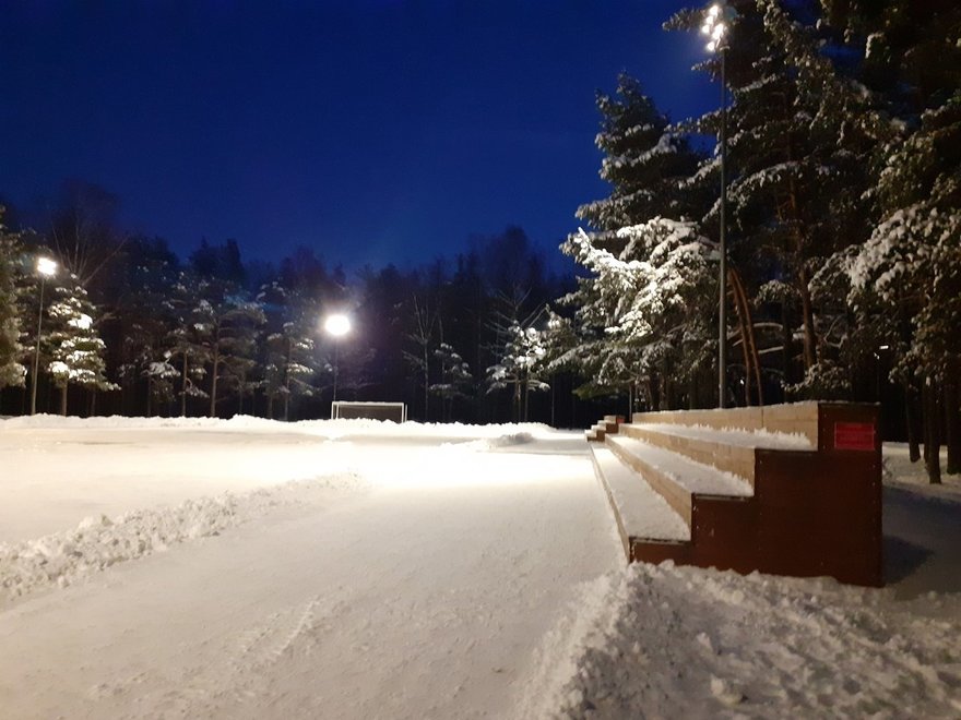 Парк зима лето на выборгском