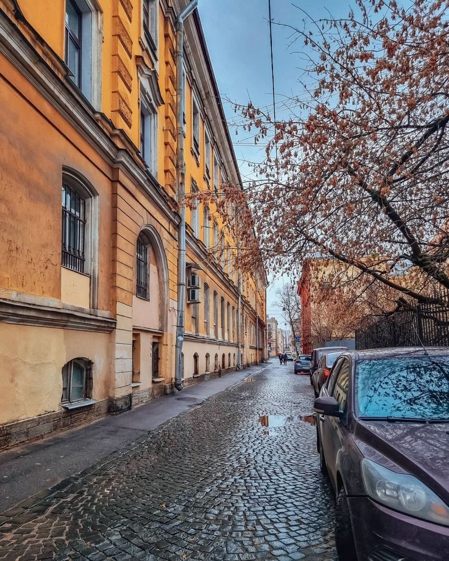 Теплое спб. Улица Репина Санкт-Петербург. Петербург тепло. Питер теплый город?. Тепло в Питере.