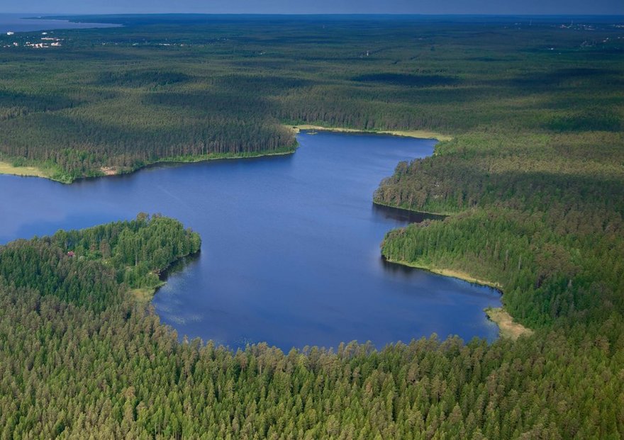 Государственный природный заказник «Озеро Щучье»