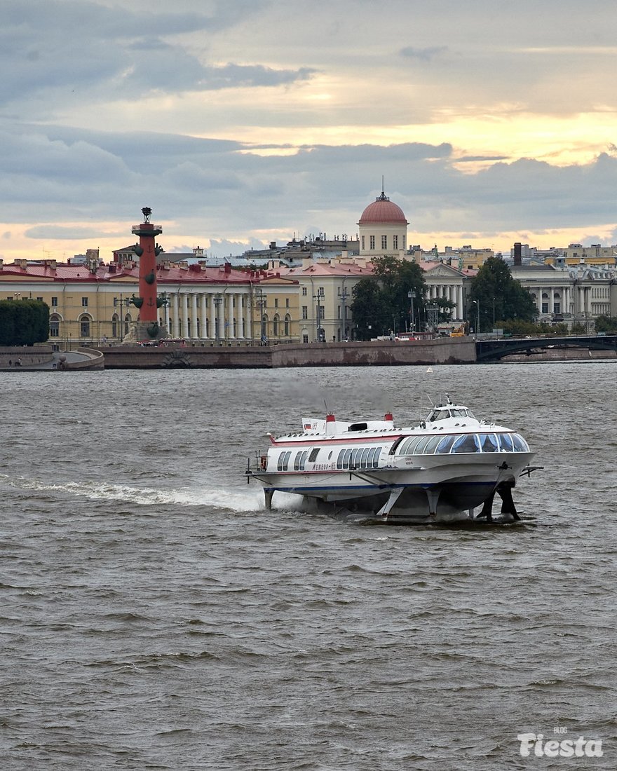 Из Петербурга в Петергоф можно будет отправиться по историческому водному  маршруту | Blog Fiesta