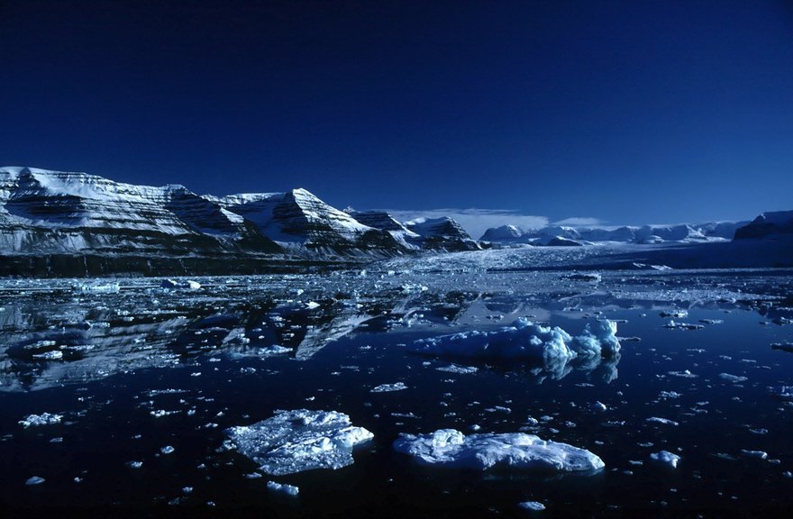 Лекции в Музее Арктики и Антарктики: расписание на июнь