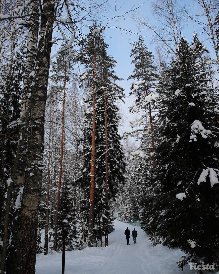 ❄️ В Ленобласти первый снег выпадет уже завтра, — синоптик Колесов.