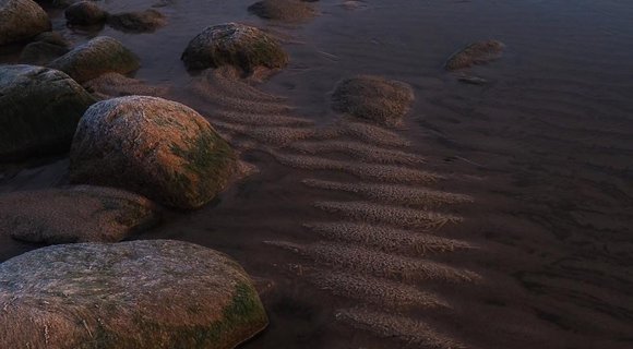 Фото: Морозный рассвет на Ладоге