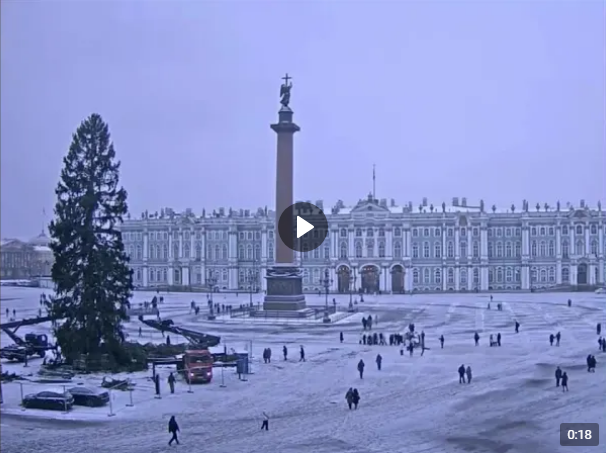 Главная новогодняя елка Петербурга добралась до Дворцовой площади. К 21 декабря вековую ель полностью украсят к любимому празднику