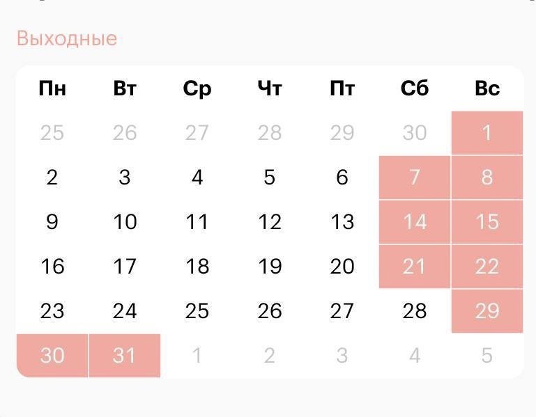 С 23 по 28 декабря петербуржцев ожидает шестидневная рабочая неделя.