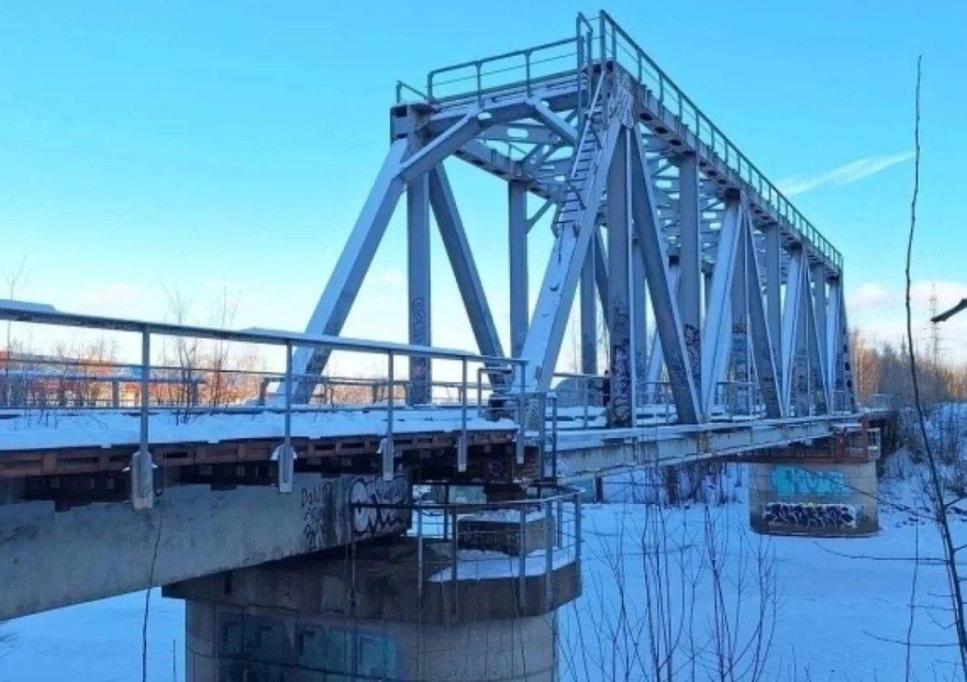 Железнодорожный мост через Охту могут превратить в общественное пространство