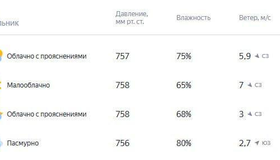 Температура опустится до -7 градусов в понедельник в Питере — синоптики.