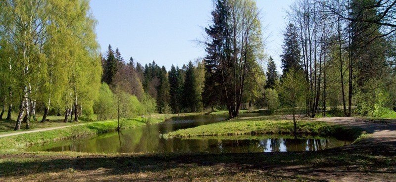 площадь просвещения санкт петербург