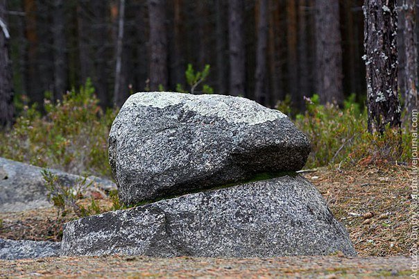 Деревня Пегрема Карелия