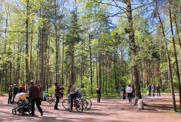 Горная велотрасса и вело-парк в СПб - цены и информация