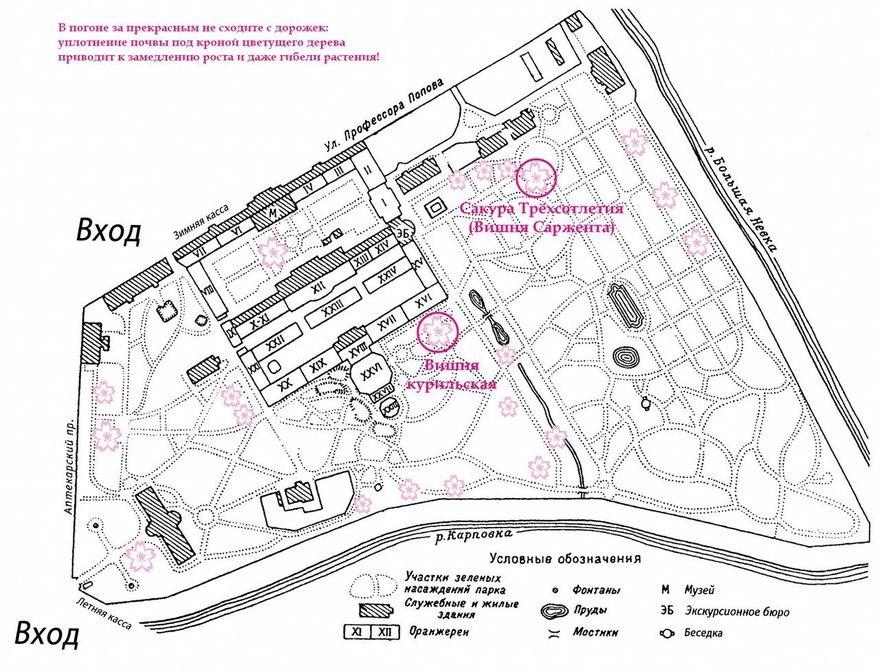 План ботанического сада москва